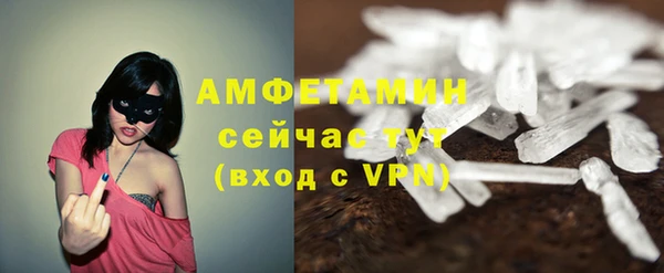индика Сафоново